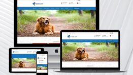 Veteriner / Klinik Web Paketi Scripti Ücretsiz İndir