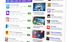 Birindir – Responsive Program İndirme Teması